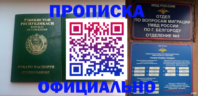 прописка для школы в Невеле